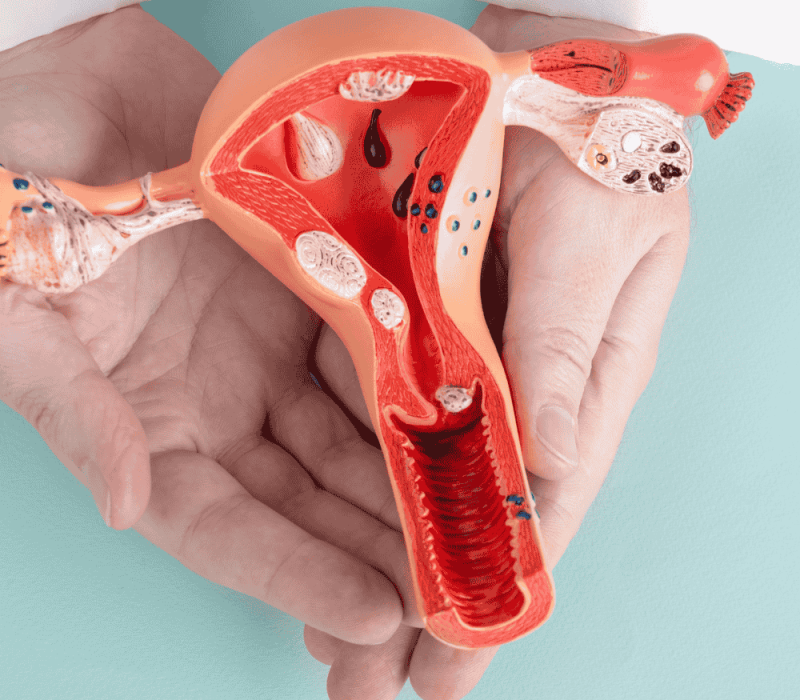 Design sem nome (58)